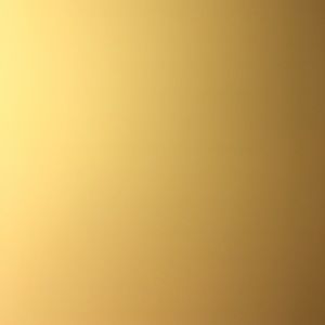 Meet your Posher, Sammy